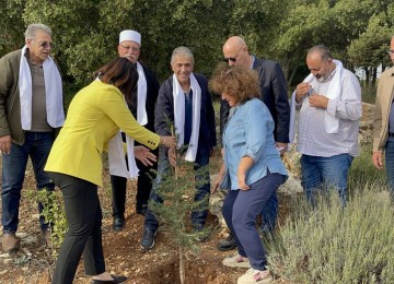 A Tree of Peace on the Path to Reconciliation